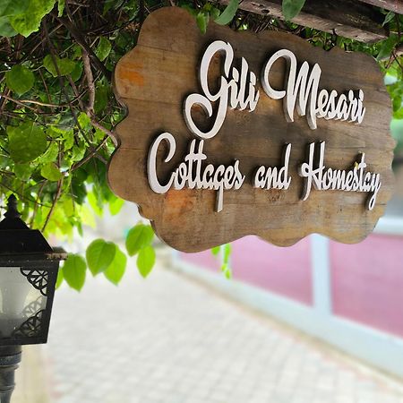 Gili Mesari Cottages & Homestay Gili Trawangan Bagian luar foto