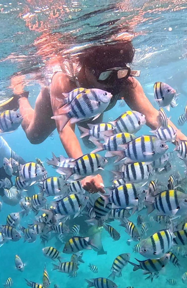 Gili Mesari Cottages & Homestay Gili Trawangan Bagian luar foto