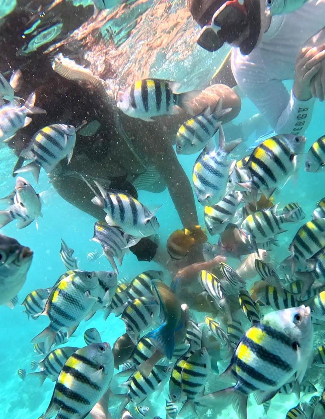 Gili Mesari Cottages & Homestay Gili Trawangan Bagian luar foto